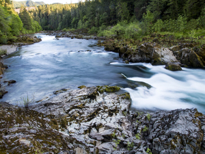 Proposal to keep beleaguered 100-year-old Umpqua Basin fish hatchery open brings hope, frustration