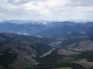 Tiny school district suing state over reduced timber revenue will have its day in court