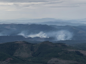 Oregon’s western state forests will see more conservation, less clear cutting under new plan