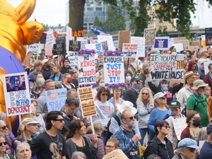 ‘Congress, do your job:’ Checks and balances depend on voters, too