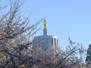 Lawsuit could undo Oregon’s ban on excessive out-of-state interest rates