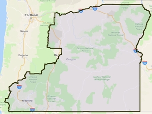 Former Democratic Oregon lawmaker leads race to face Republican Cliff Bentz