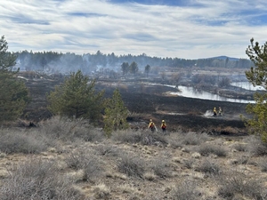 Oregon officials warn of fundraising, recovery scams amid ongoing wildfire season 