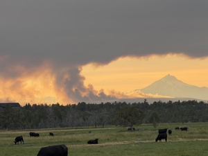 Gov. Kotek presses feds to get Oregon farmers, ranchers same urgent wildfire relief as red states