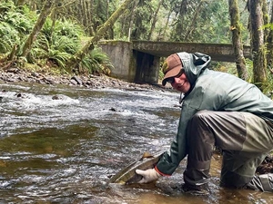BPA abruptly pulls funding from Columbia River fisheries program