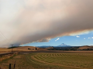 The forests Oregon ‘protected’ are burning