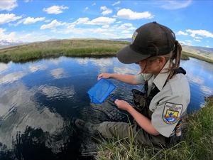 U.S. Fish and Wildlife staff down more than a third nationwide, 40% in Oregon since Trump 2.0