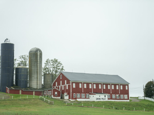 As industry faces rising costs, there’s hope new Pa. Farm Bureau leadership brings positive change
