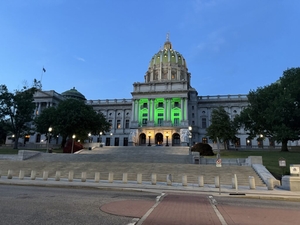 Voters weigh in on 40 state House and Senate seats with primaries