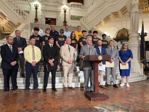 Lawmakers urge Pa. Senate to split up public, private high school school playoffs