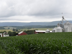 Farmers’ use of food processing waste will be regulated under new Pa. law.