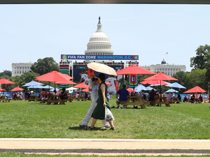 In wake of record-breaking heat waves in Pa., experts reflect on preparing for the future