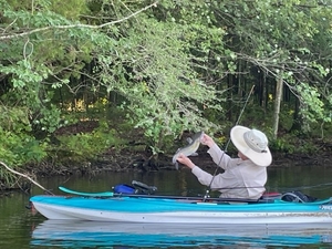 Tennessee hunting, fishing license fees could increase 29% next year to help fill budget deficit