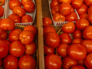 Tennessee schools still miss farm-to-school grant eliminated in 2025 as USDA rolls out new programs