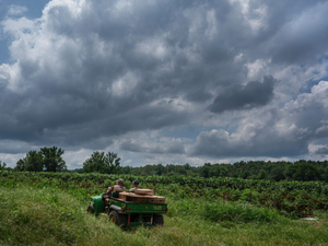 Gov. Lee extends off-road diesel enforcement relief for farmers, loggers through Dec. 31