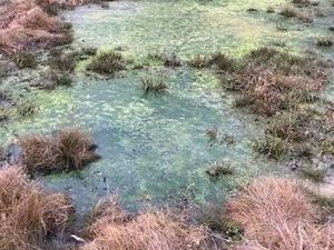 Tennessee legislature passes bill setting new rules for failing wastewater systems