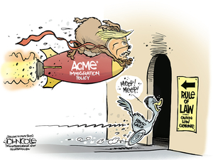 John Cole’s Tennessee: Hare-brained immigration chase
