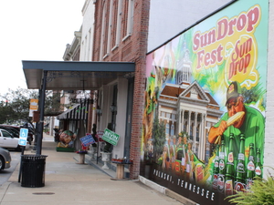 ‘What do we have in common’: Traveling the 250 miles through Tennessee’s House District 9