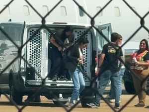 ‘The Bird-Watchers’ of Memphis: tracking ICE flights and documenting detainees In shackles