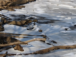DEQ study throws cold water on data center development east of I-95