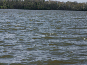 Virginia senators request special session to act on ’deeply alarming’ groundwater report