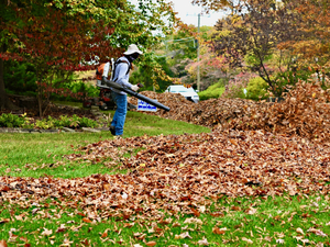 Legislators didn’t allow local bans of gas-powered leaf blowers. Va. localities are doing it anyway.