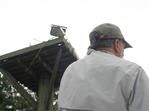 Chesapeake Bay ospreys see worst breeding season on record