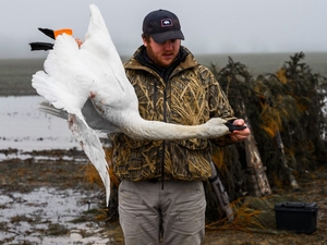 If you enjoy Virginia’s wildlife, thank a hunter or angler