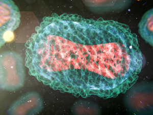 Health officials report uptick in mpox infections in Wisconsin
