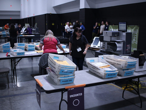 Elections commission considers how to handle Milwaukee, Green Bay election errors