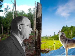 Tom Tiffany’s long history of pro-extraction environmental policy