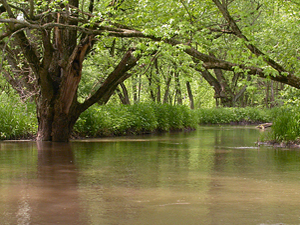 Legislative study committee begins look at Wisconsin floodplain restoration
