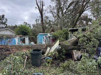 A tree crushed Cher Stanturf's home, completely ripping a wall off the front of it.
