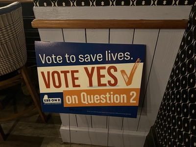 Maine voters opt for red flag law, expanding options for confiscating a firearm