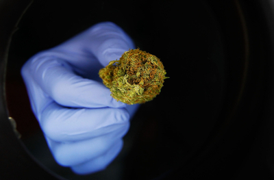 Cannabis-related ER visits increased ahead of recreational legalization, state dashboard shows