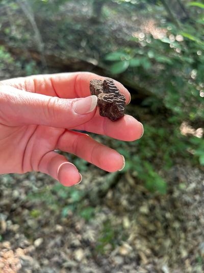 Dig yields clues into how Choptank tribe lived with water