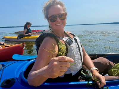 Chesapeake Bay grasses notch best numbers since 2018