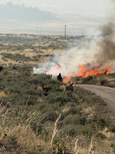 Tribes hit hard by wildfires face health effects, cultural losses