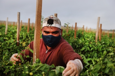 The Florida Legislature doesn’t care how hot outdoor workers get