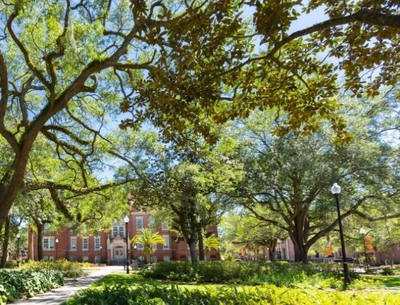 Mixed bag for FL national and top public universities, plus private schools, in latest rankings