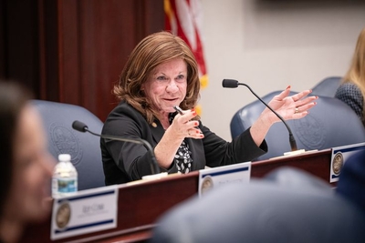 Gov. DeSantis’ latest plan to hand over preserved land united Florida – against him