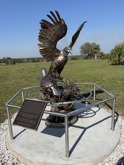 Slipshod investigation of famous Florida eagle’s death ruffles feathers