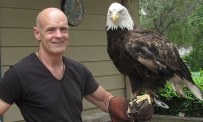 Slipshod investigation of famous Florida eagle’s death ruffles feathers