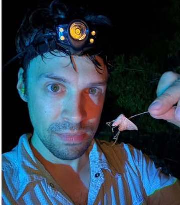 New Florida moth species, thought extinct, turns out to still be fluttering around