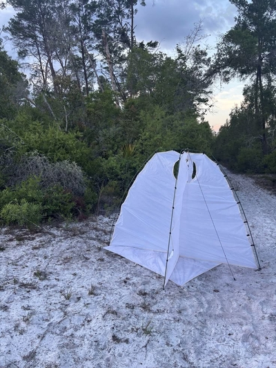 New Florida moth species, thought extinct, turns out to still be fluttering around