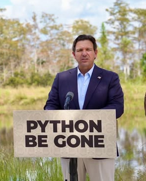 Python captures by Florida scientists overshadowed by hoopla over annual amateur contest