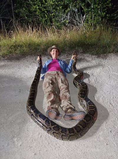 Python captures by Florida scientists overshadowed by hoopla over annual amateur contest