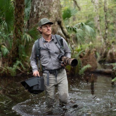 To avoid becoming roadkill, Florida panthers need critter crossings