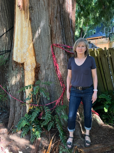 How developers helped shape Seattle’s controversial tree protection ordinance