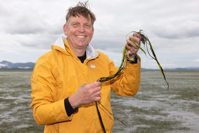 In northwest Washington, invasive green crabs threaten Padilla Bay’s eelgrass
